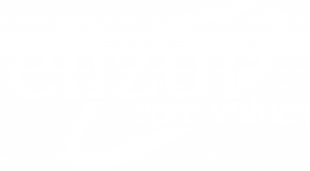 elizur-core-values